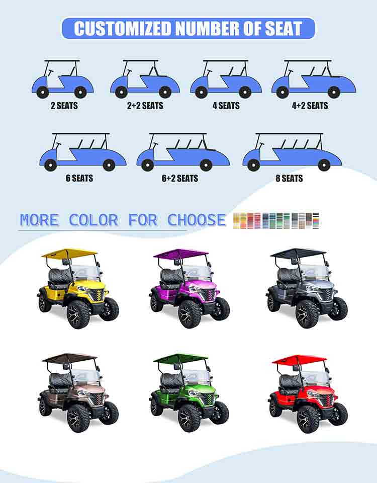 golf cart for sale electric 17 seater - Image 5