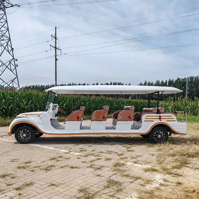 golf cart for sale electric 17 seater - Image 3