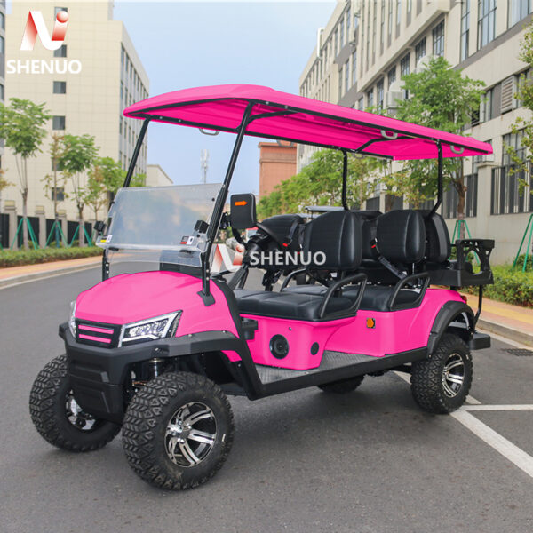 electric powered golf carts 6 seater