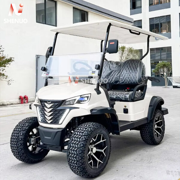 luxury golf carts electric 2 seater